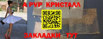 стаф Будённовск